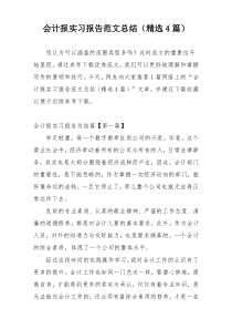 会计报实习报告范文总结（精选4篇）