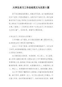 大学生实习工作总结范文与反思5篇