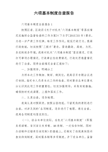 六项基本制度自查报告