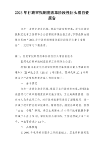 2023年行政审批制度改革阶段性回头看自查报告