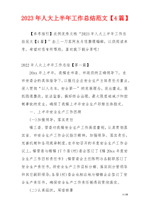 2023年人大上半年工作总结范文【4篇】