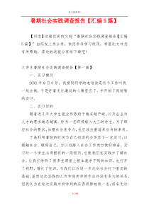 暑期社会实践调查报告【汇编5篇】