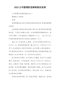 2023公司管理阶层辞职报告范例
