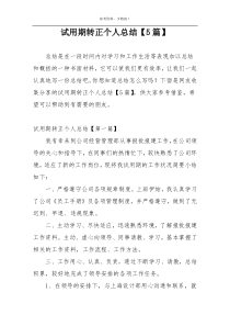 试用期转正个人总结【5篇】