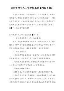 公司年度个人工作计划范例【精选4篇】
