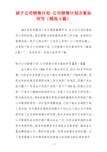 袜子公司销售计划 公司销售计划方案如何写（精选4篇）