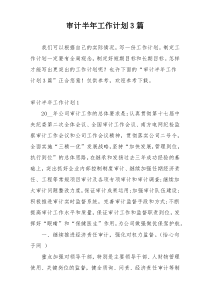 审计半年工作计划3篇