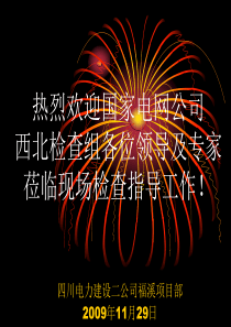 国家电网专项检查汇报材料