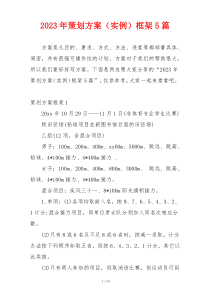2023年策划方案（实例）框架5篇