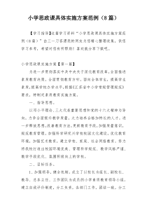 小学思政课具体实施方案范例（8篇）