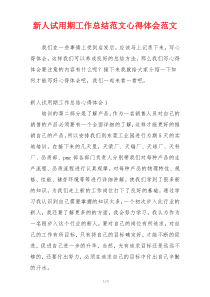新人试用期工作总结范文心得体会范文