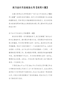 实习会计月总结怎么写【实用5篇】