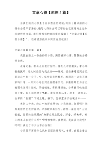 文章心得【范例5篇】