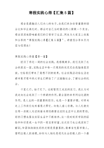 寒假实践心得【汇集5篇】