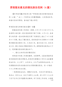 贯彻落实意见的情况报告范例（4篇）