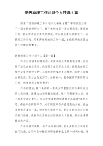 销售助理工作计划个人精选4篇