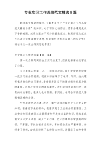 专业实习工作总结范文精选5篇