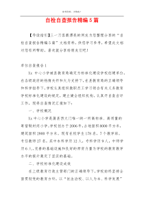 自检自查报告精编5篇