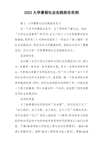 2023大学暑假社会实践报告范例