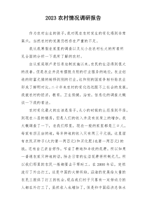 2023农村情况调研报告