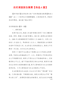 农村调查报告集聚【热选4篇】