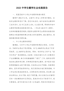 2023中学生辍学社会实践报告