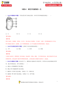 专题03 绿色开花植物的一生-2020年中考生物真题分项汇编（全国通用）（解析版）