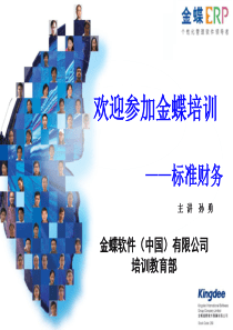 V11标准财务课件