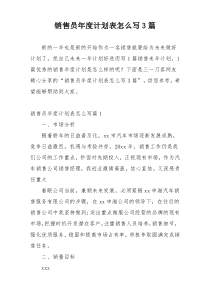 销售员年度计划表怎么写3篇