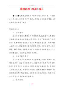 策划计划（实用5篇）