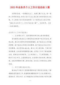 2023年业务员个人工作计划总结3篇