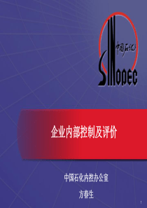 中石化企业内部控制及评价