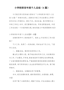 小学校财务年度个人总结（4篇）