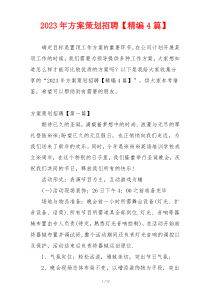 2023年方案策划招聘【精编4篇】