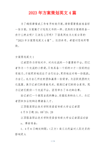2023年方案策划英文4篇