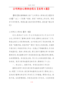 公司两会心得体会范文【实用4篇】