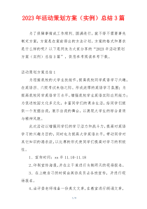 2023年活动策划方案（实例）总结3篇
