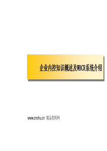 企业内控知识概述及WBCR系统介绍（PPT67页）
