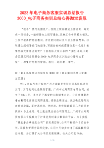 2023年电子商务客服实训总结报告3000_电子商务实训总结心得淘宝客服