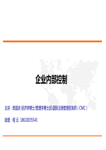 企业内部控制-陈国庆
