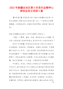 2023年新疆自治区第十次党代会精神心得体会范文范例5篇