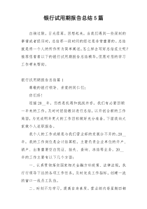 银行试用期报告总结5篇