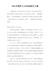 2023年度护士工作总结范文5篇
