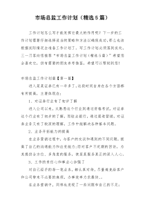 市场总监工作计划（精选5篇）