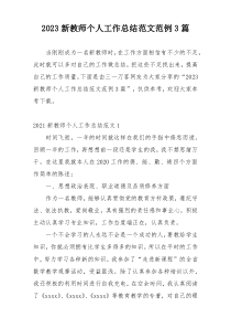 2023新教师个人工作总结范文范例3篇