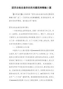 团员自检自查存在的问题范例精编3篇
