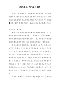 评价报告【汇集5篇】