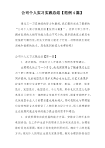 公司个人实习实践总结【范例4篇】