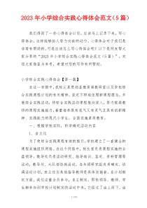 2023年小学综合实践心得体会范文（5篇）