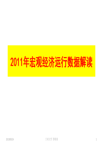 XXXX年宏观经济运行数据解读